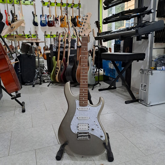 Cort Stratocaster (Serie G250) – HSS – Silver Metallic